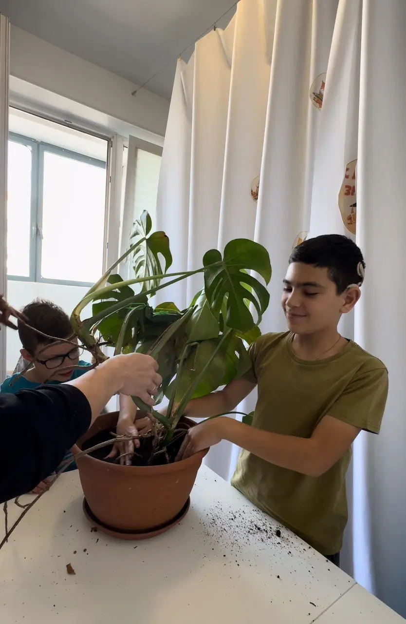 Экологическое воспитание. Фото 1