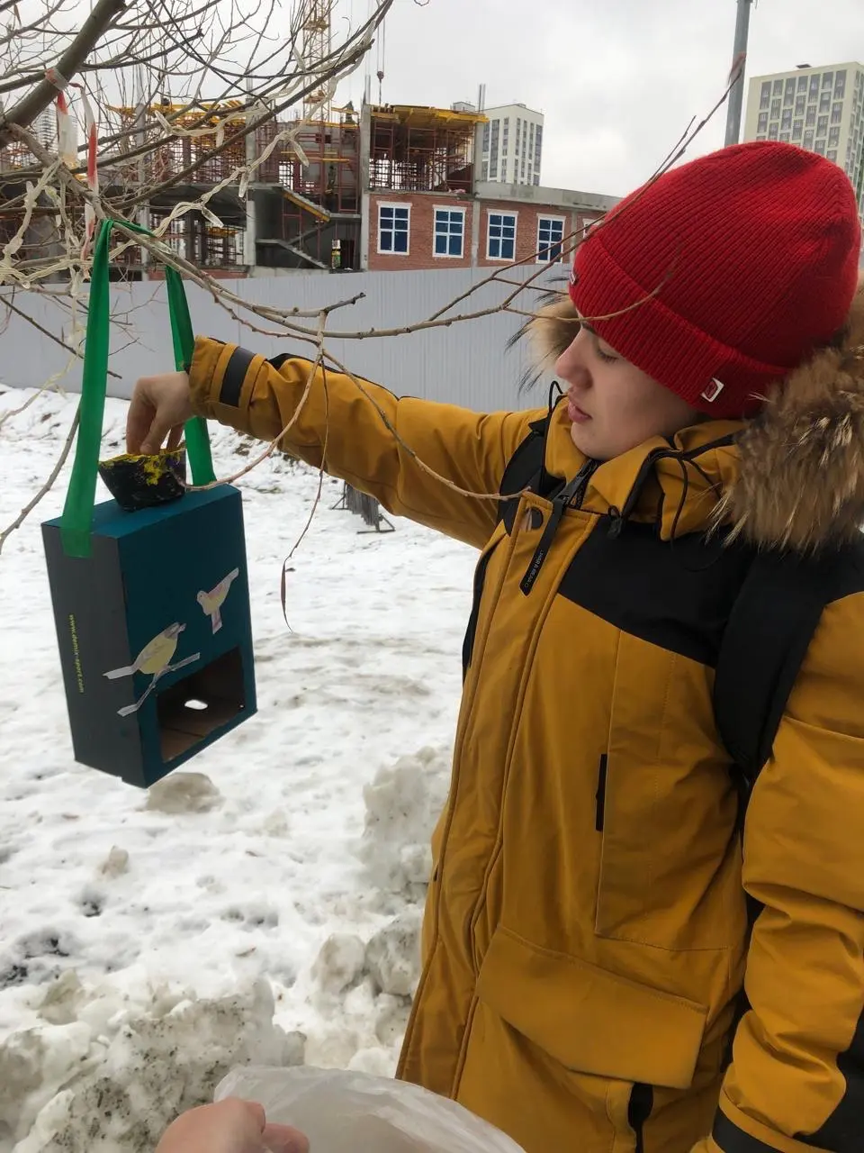 Кормушки. Фото 7