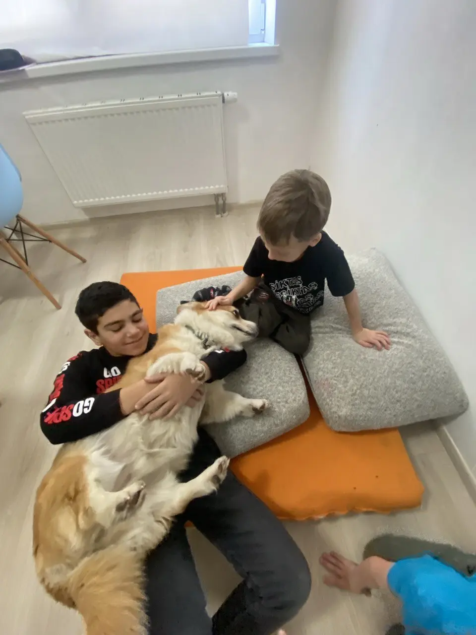 Собакотерапия. Фото 3