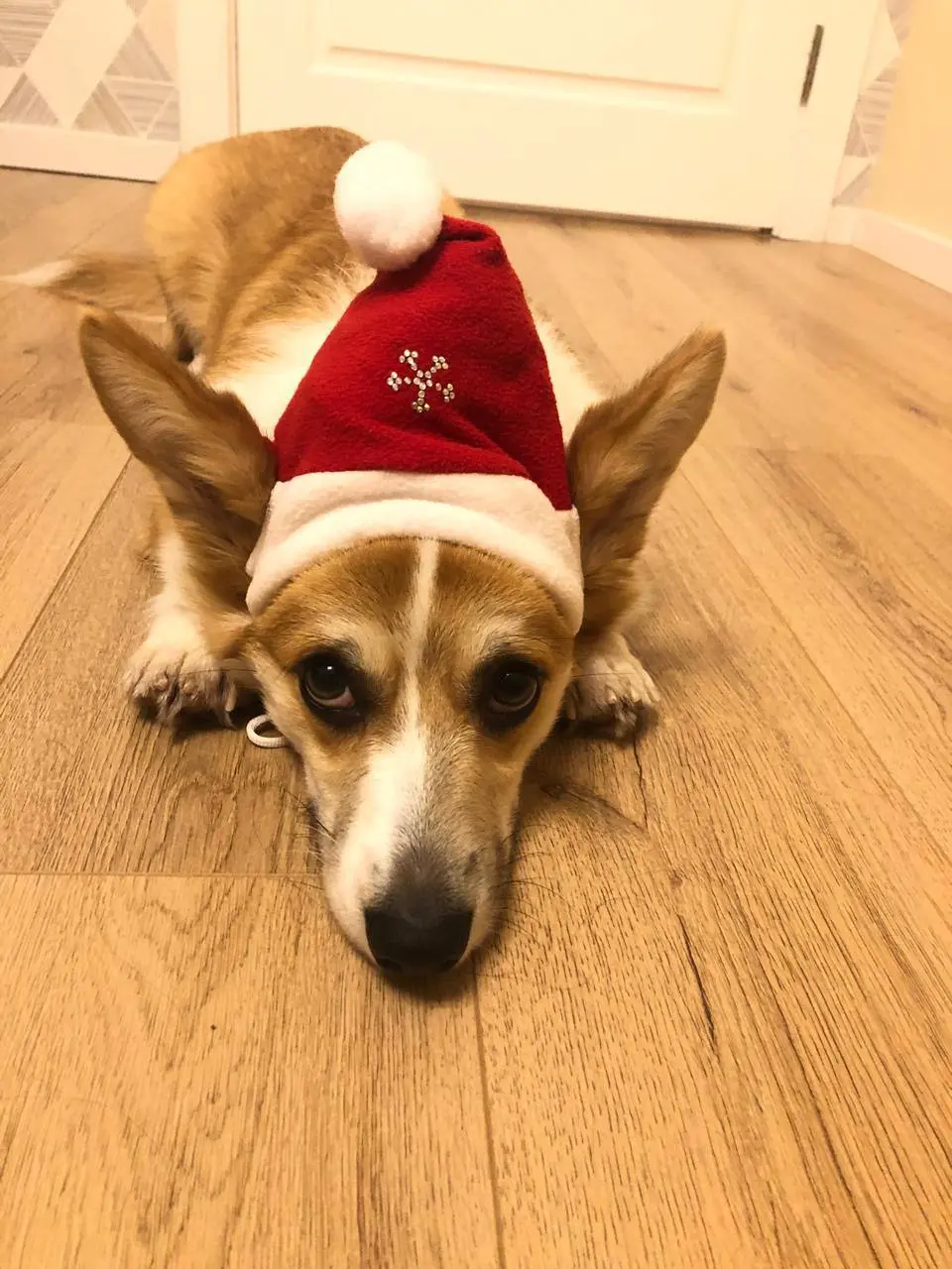 новогодние колпаки. Фото 10