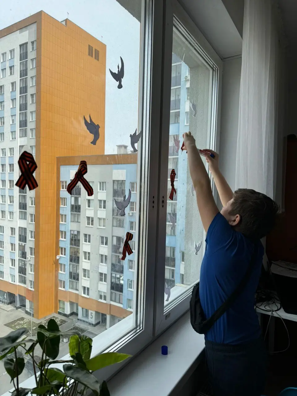 Окна Победы 25. Фото 5