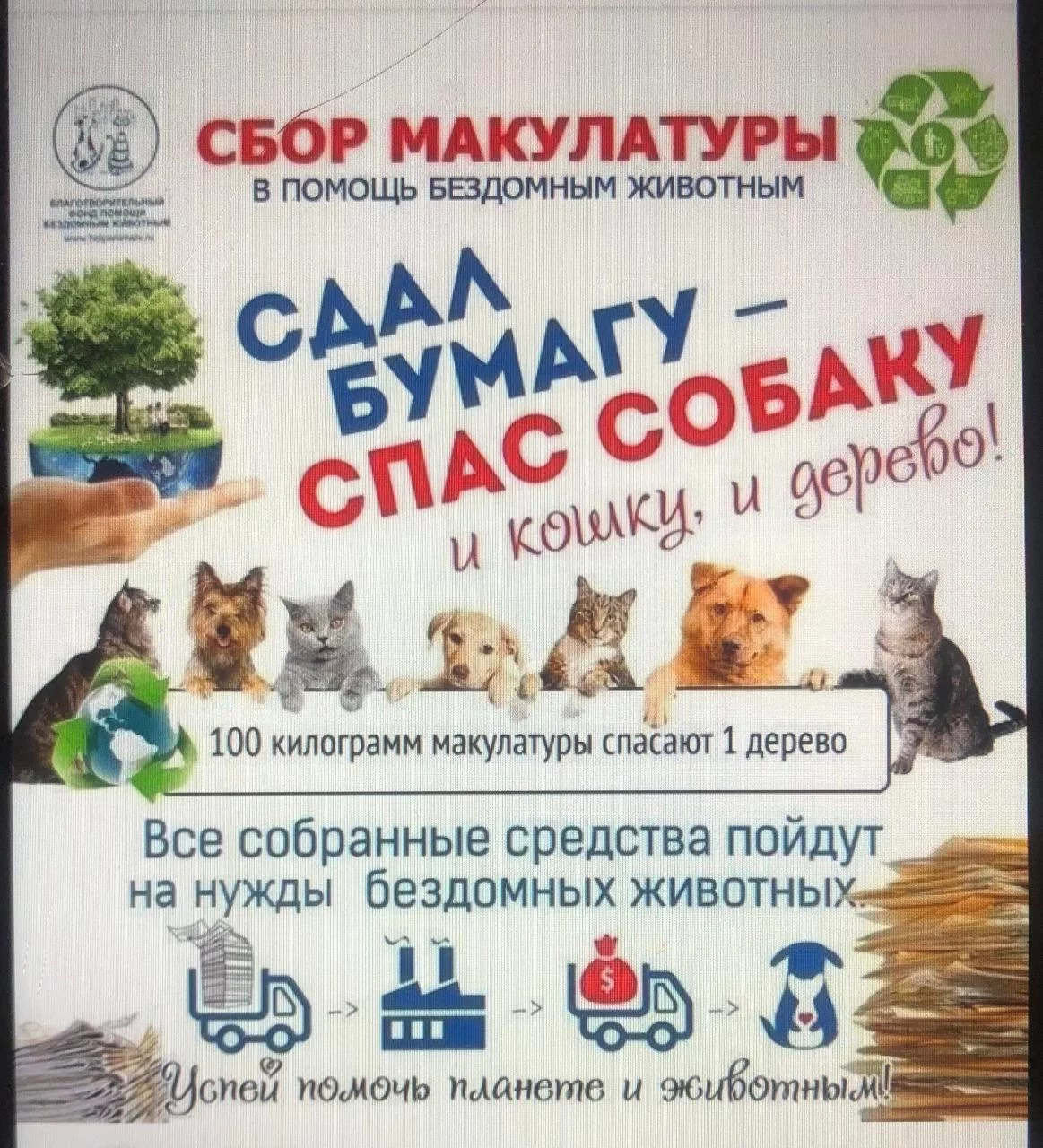 Макулатура 25. Фото 1